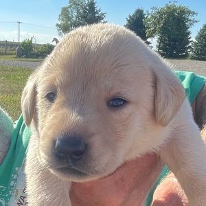 Meet your Posher, Denise